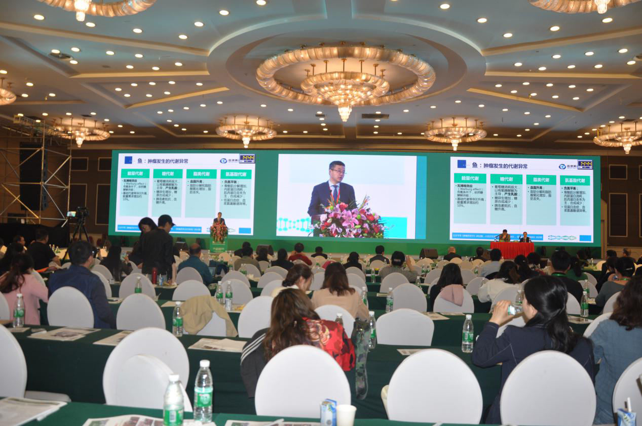 1-1Z423150343H9 1-1Z423150343H9